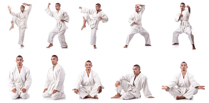 Martial Arts Poses